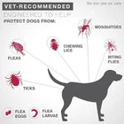 Flea, Tick & Mosquito Prevention for Dogs 21–55 lbs, 6 Monthly Doses