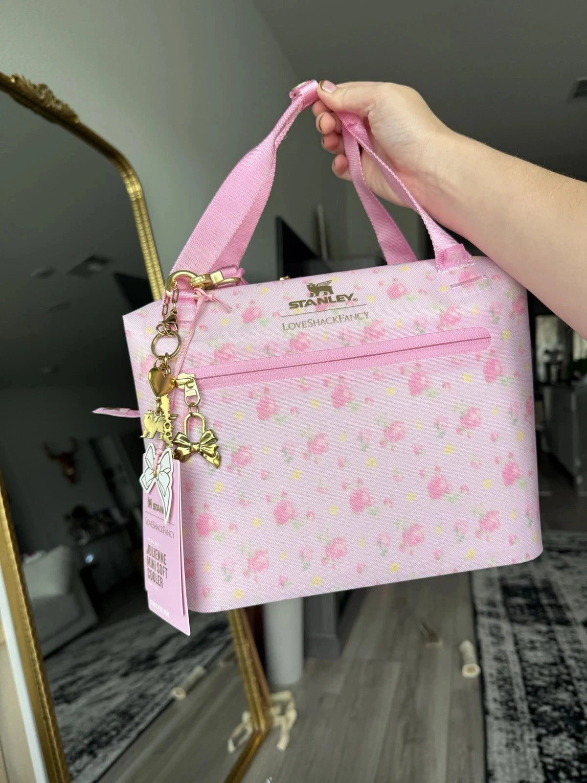 Mini Insulated Cooler Bag – Portable Lunch Box with Shoulder Strap, Zipper Closure and Compact Design