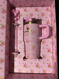20 oz Pink Insulated Stainless Steel Tumbler – Sunset Design with Lid and Straw
