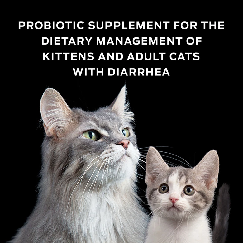 Feline Probiotic Nutritional Supplement for Cats, Digestive Support, 30 Sachets