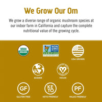 Organic Mushroom Superfood Blend Powder – 10 Mushroom Complex, Daily Wellness Supplement, 80 Servings